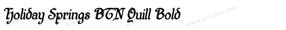 Holiday Springs BTN Quill Bold字体转换